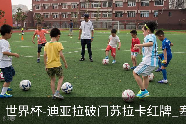 世界杯-迪亚拉破门苏拉卡红牌 塞内加尔半场1-0伊拉克